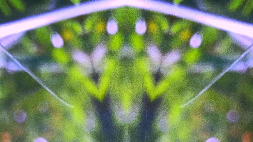Patterns in various colors form and change in digital image