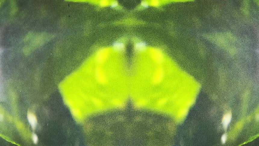 Green lines change shape and size to form a pattern