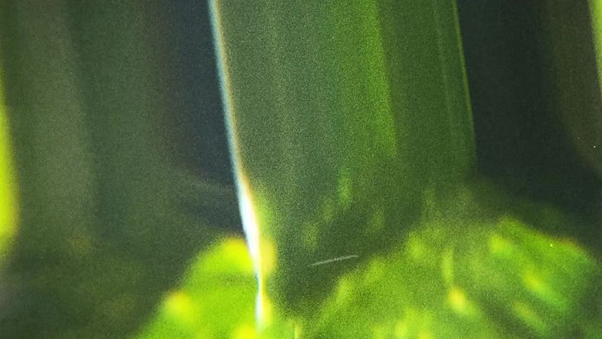 Abstract footage of lights shining on moving green and orange substances