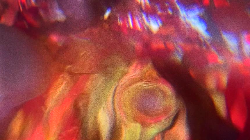 Underwater waving image of plants reflecting on the surface