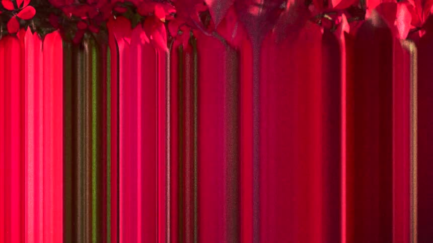 Stripes of various colors including pinks moves in clumps across graphic