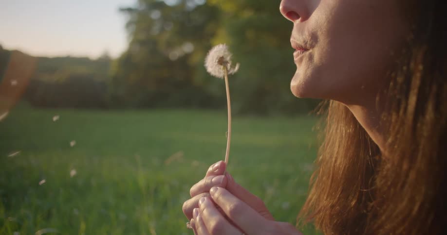 A woman blows the petals from a dandelion while sitting in a field during the day