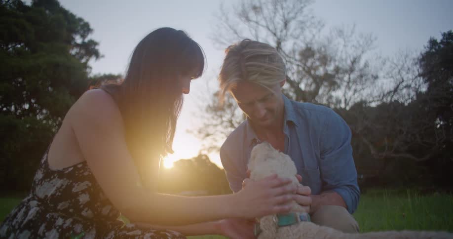 Couple crouch in field near trailer petting dog on sunny day