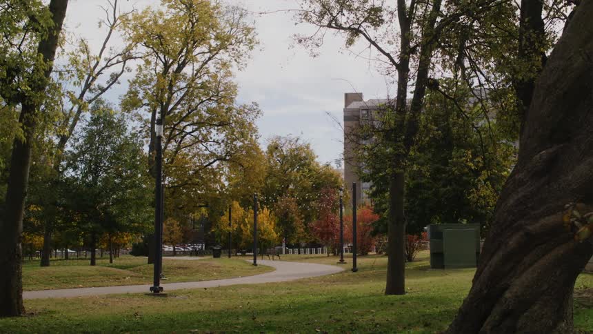 View of public park with trees and vehicles driving on highway