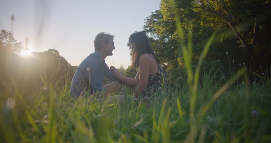 A couple kiss as they sit in tall grass in a field