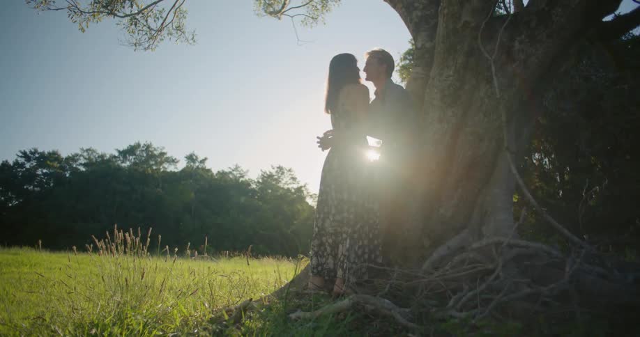 A man is leaning against a tree hugging and kissing a woman as the sun shines brightly in the distance