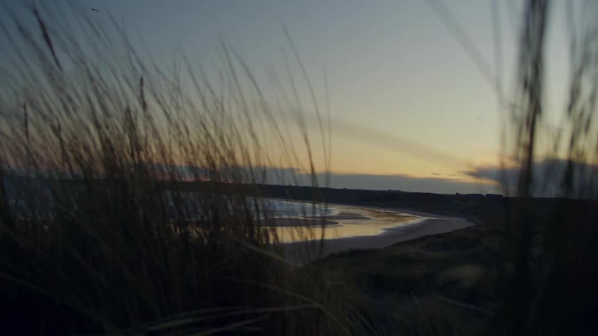 Tall grass is moving in the breeze and waves are rolling over the sand on a beach in the distance at dusk