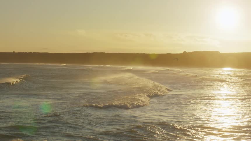 A seagull flies over a beach as waves roll in and the sun is shining brightly in the sky