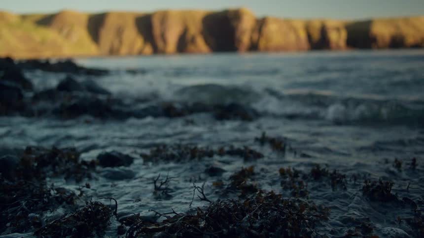 A view of water crashing against the shore