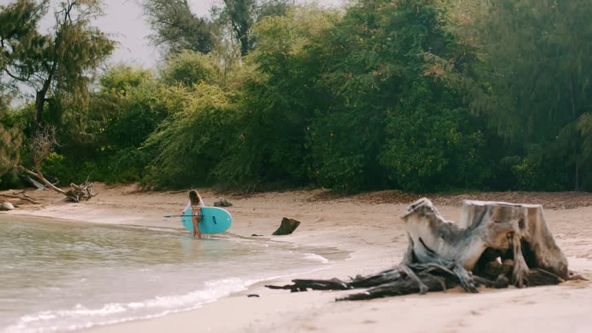 Tree trunk sits on beach as woman wearing a bikini carries paddle board and oar through surf