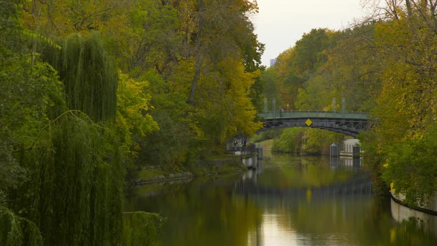 People walking over a bridge over a river in a calm green forest in a park