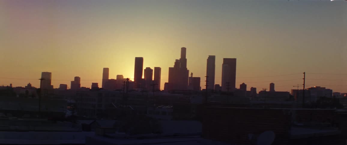 Skyscrapers loom over a metropolis at sunset
