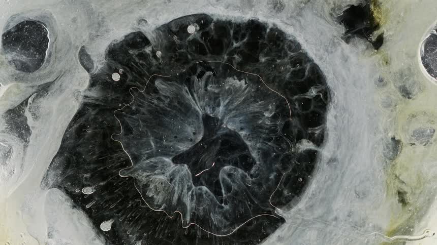 Abstract footage of liquids mixing together