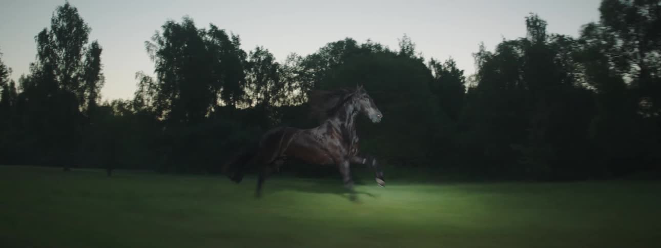 A horse is racing on the dark field