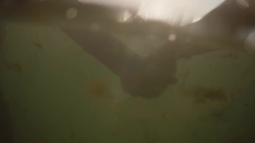 Couple wearing wets suits and standing in ocean hold hands under water on sunny day