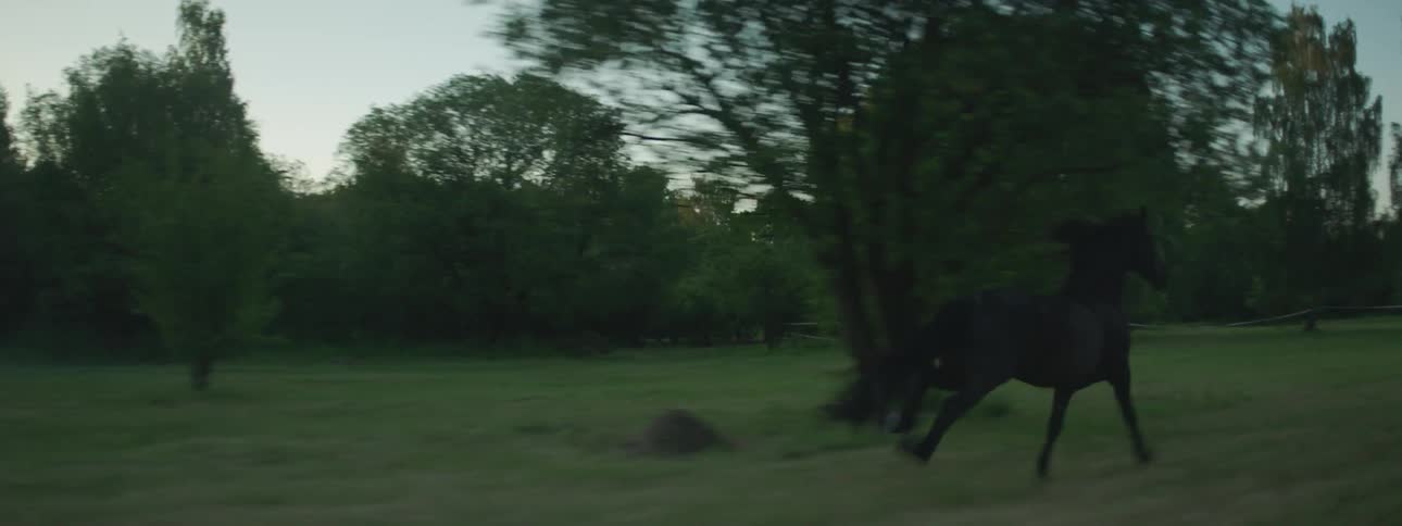 A lone black horse runs through a grassland during the day