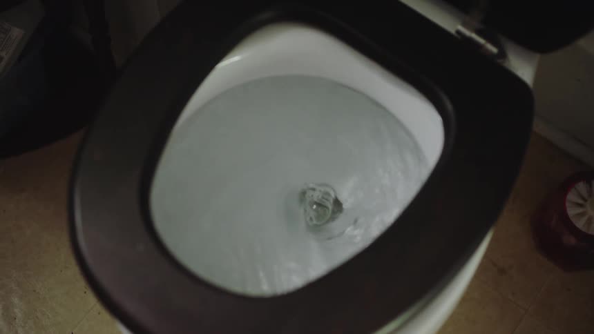 Toilet with black seat flushes