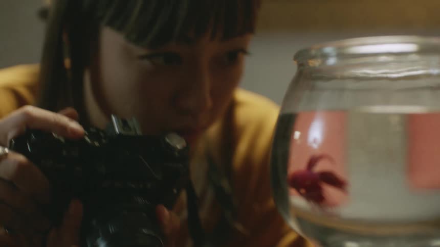 Man and woman bend to look closely at fish swimming in fish bowl after woman aims camera