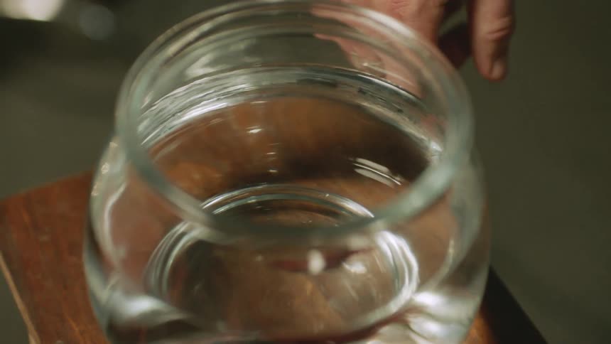 Fish in a glass