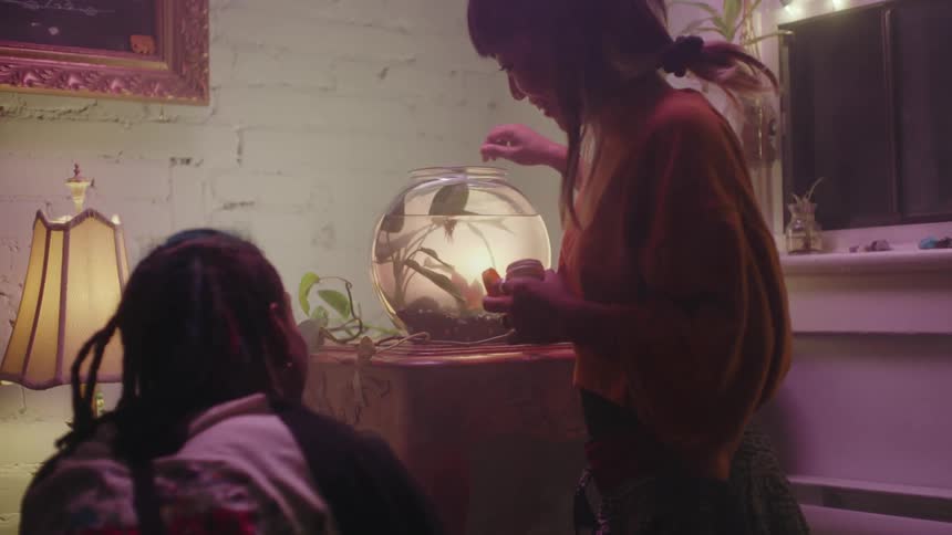 Man and woman talk after woman feed fish in small fish bowl