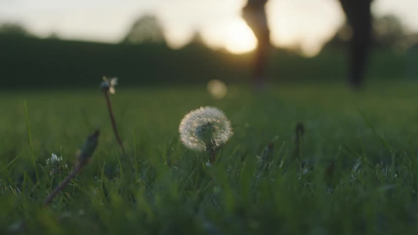 Two people run in the field