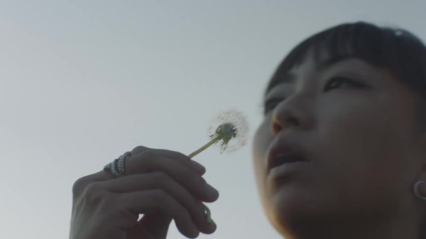 A woman is holding a dandelion while trying to its seeds into the air in the evening