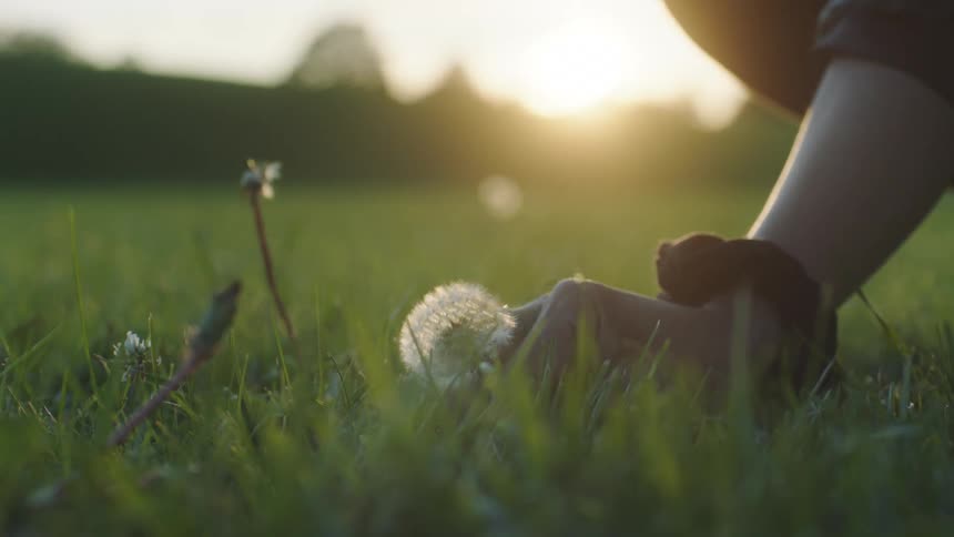 A person picking a flower out of the grass