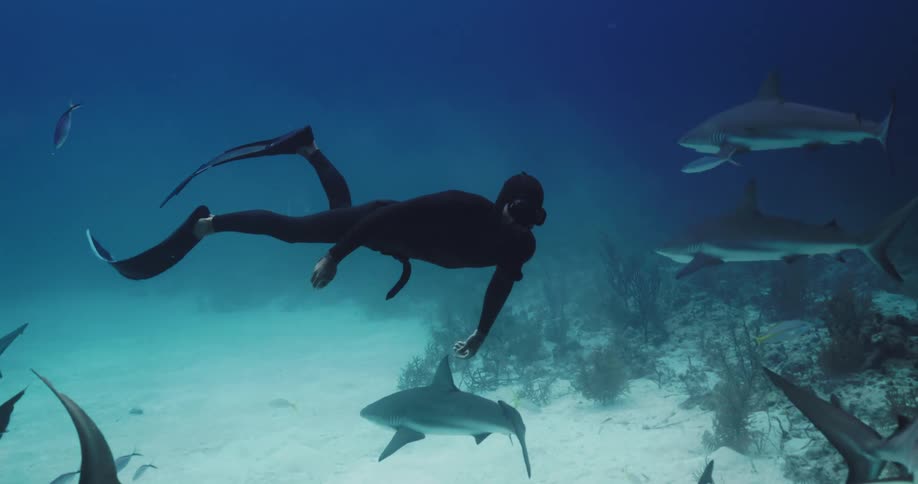 A man swimming underwater with sharks and fish