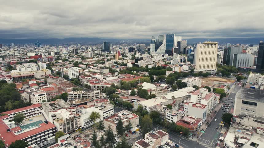 Trees dot city blocks as building stretch toward misty horizon