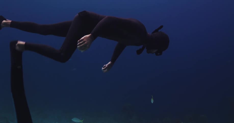 Man snorkels underwater swimming over sea bottom near shark