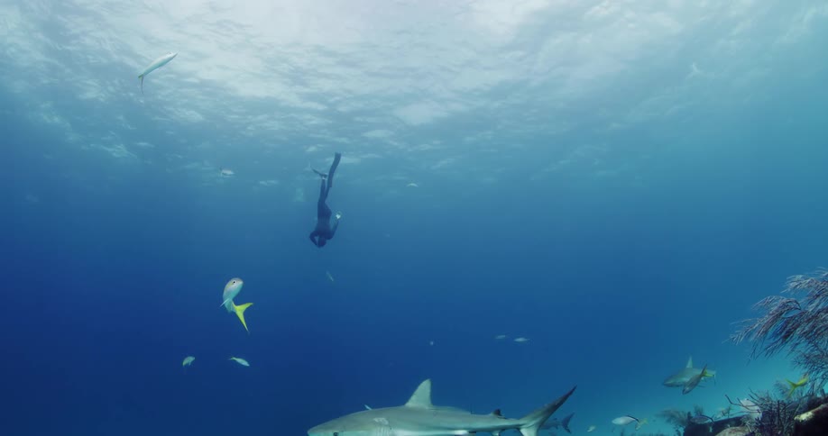 A person diving into the water in the ocean