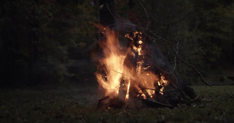 A bonfire burns outside a forest area