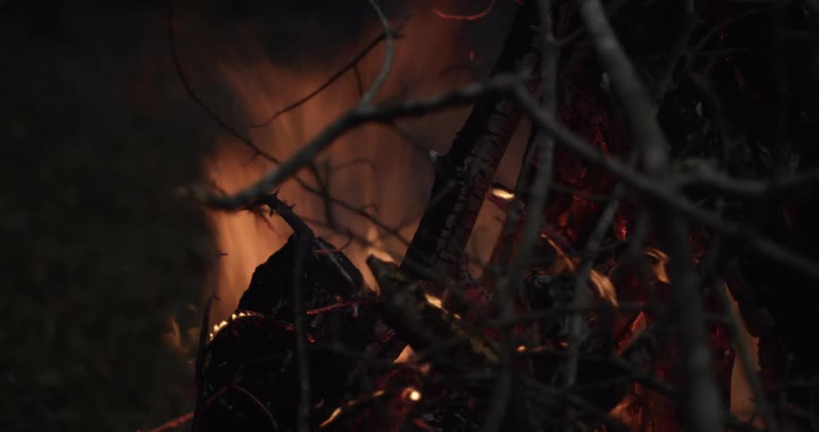 Wood burns in a campfire in a woodland