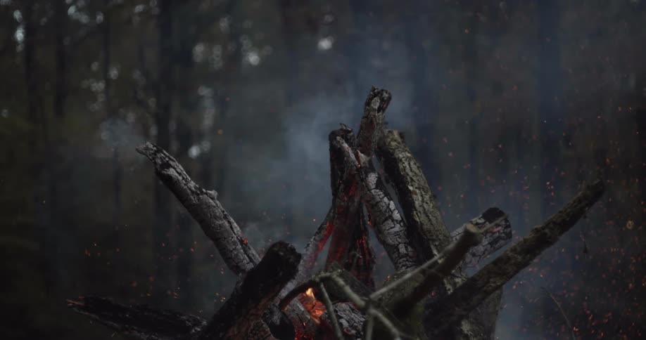 Sparks fly on a bonfire in the forest when a piece of wood hits the fire