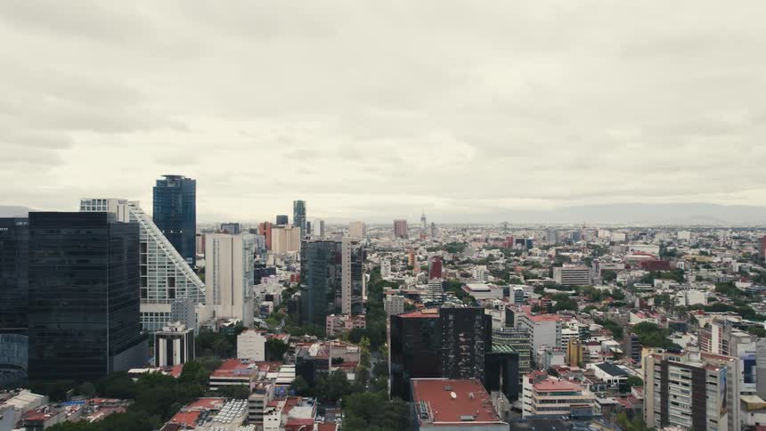 Trees dot city stretching to horizon on cloudy day