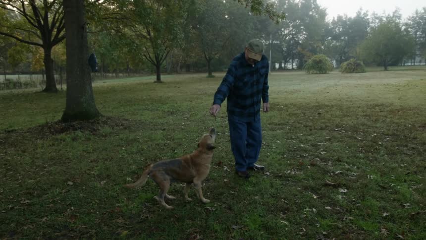 A man playing with a dog outdoors