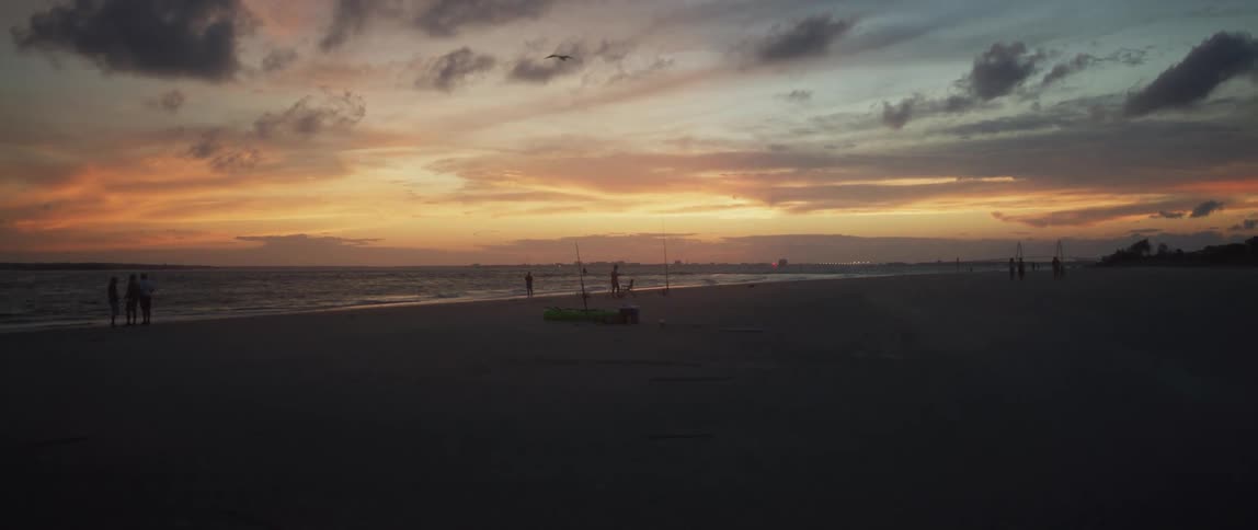 People are standing on a beach as a seagull flies overhead and the sun is setting