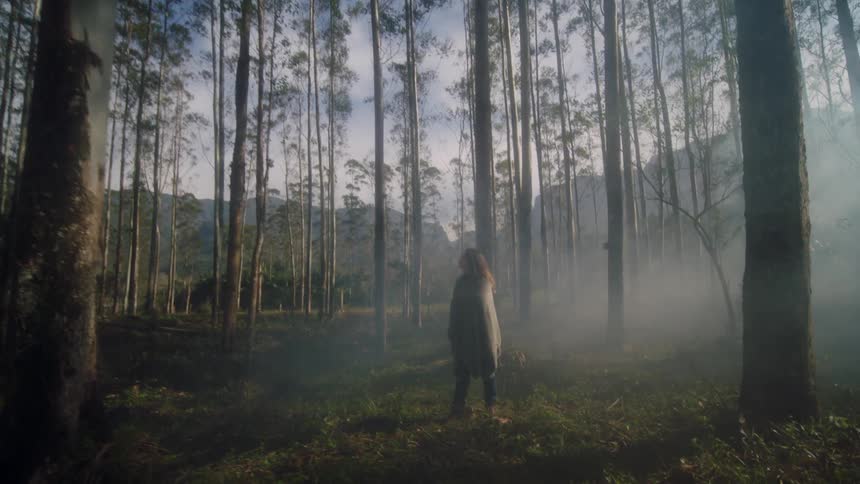 A woman stands in a misty forest while wrapped in a cloak during the day