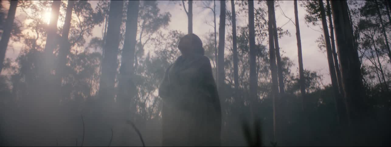 A woman who is wrapped in a blanket is walking in a foggy forest