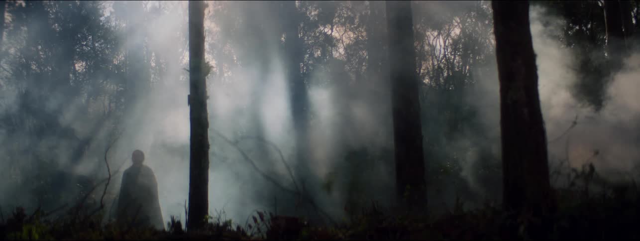 A woman stands alone in a shadowy woodland area as smoke billows toward her during the day