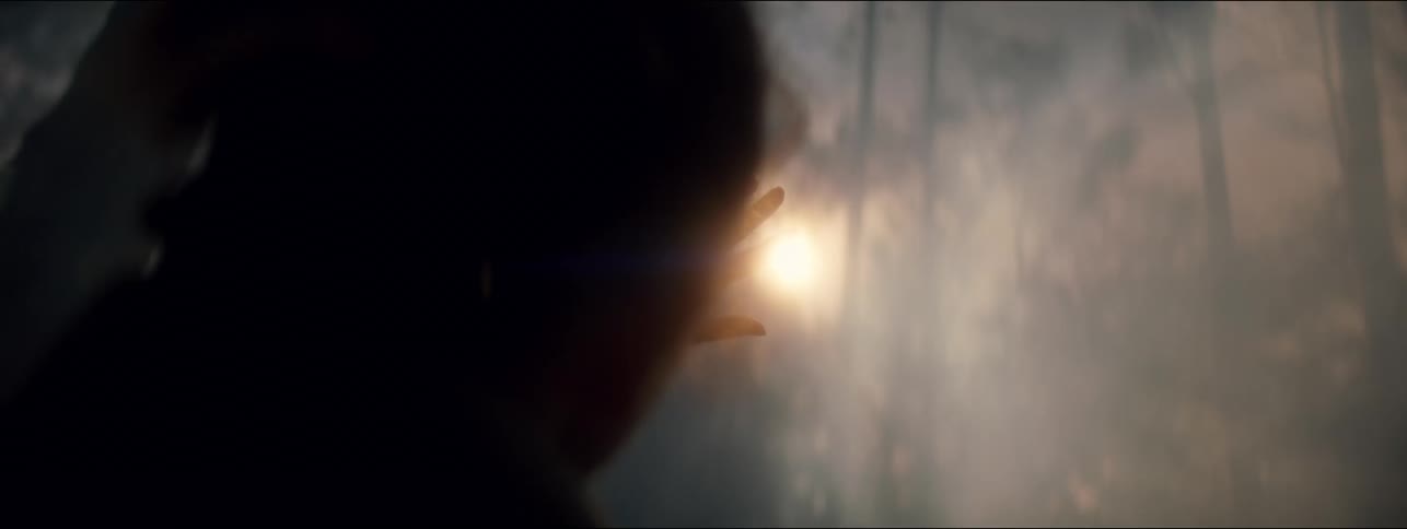 A person standing in a forest covered in fog blocks the sun with a hand