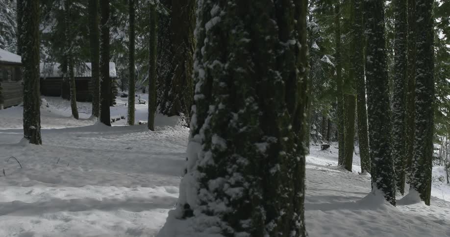 People clear a bench in the woods of snow and sit down