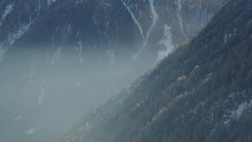 Aerial view of the fog over the pine tree forest on the mountain slopes