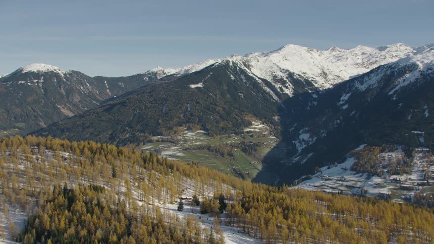 A forest of trees near a mountain range partially covered in snow on a sunny day