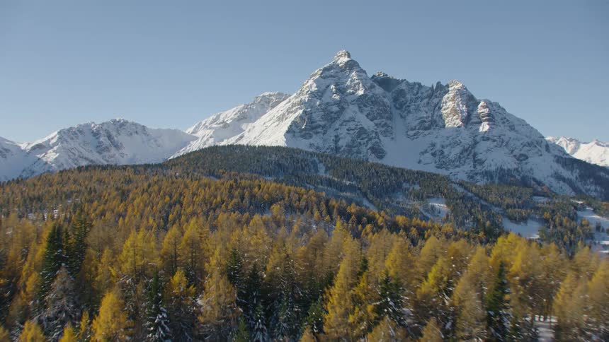The yellow trees line the hills before the mountain