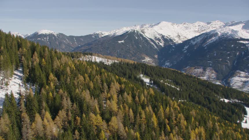 Pine tree forests on the slopes near a mountain range covered in snow
