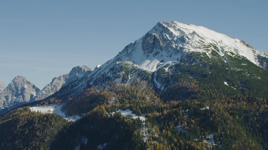 A mountain peak with snow is surrounded by trees in the wilderness
