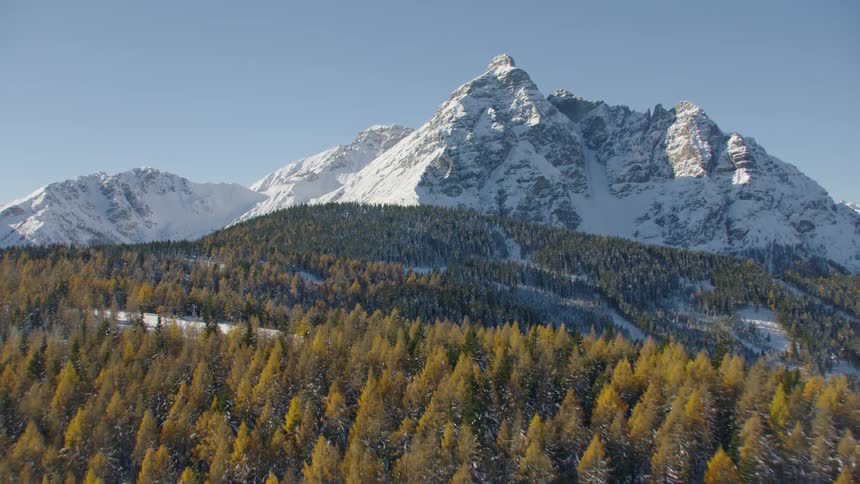 A forest filled of pine trees sits below a snow capped mountain