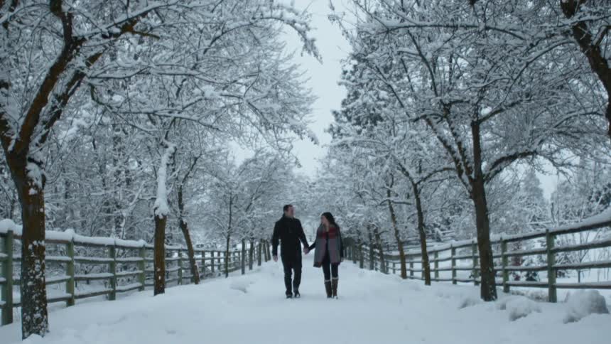 Couple walking through a snowy wilderness while holding hands