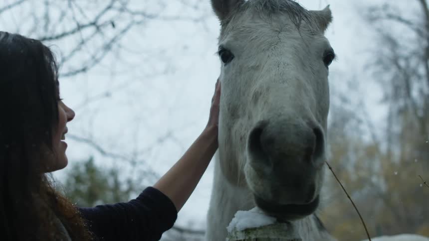 A woman smiles petting a horse as it snows
